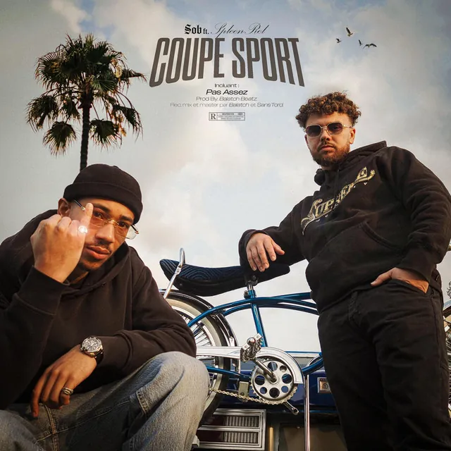 Pochette de Coupé Sport